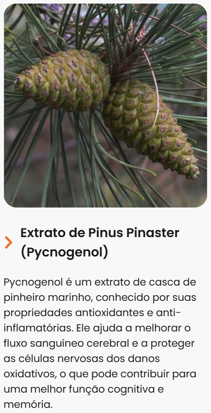 Captura de tela 2025-04-29 134807